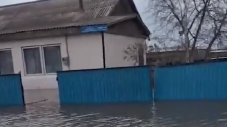 От акима акмолинской области потребовали действий