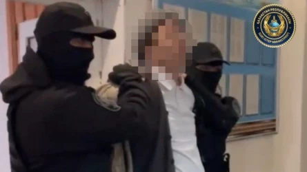 Арқалықта зорлықшы деген күдікпен блогер ұсталды