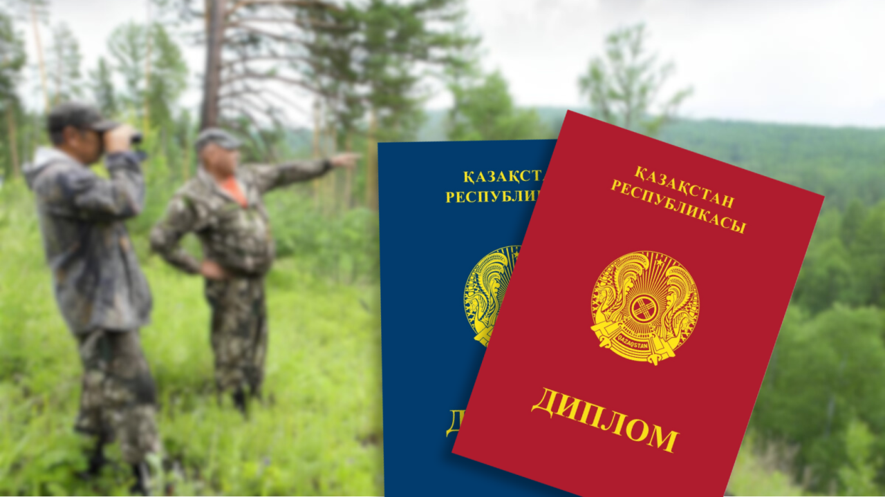 Тарбағатай ұлттық паркінің қызметкерлері жалған дипломмен жұмыс істеген