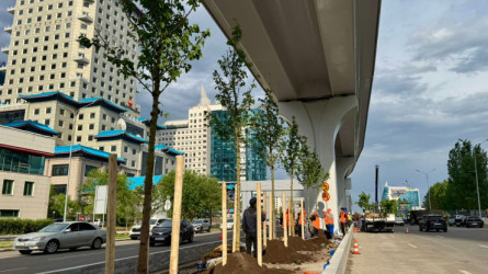 Астанада LRT айналасы безендіріліп жатыр