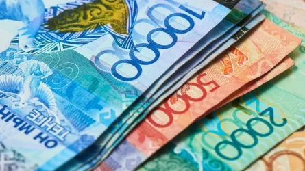 Бектенов разъяснил, ждать ли налоговую амнистию в Казахстане