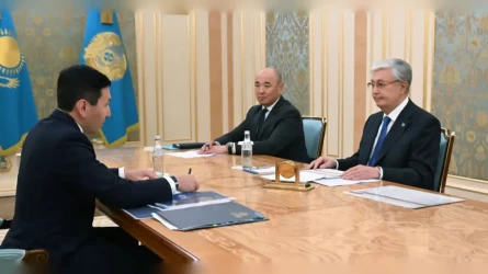 Президент принял главу "Самрук-Казына"