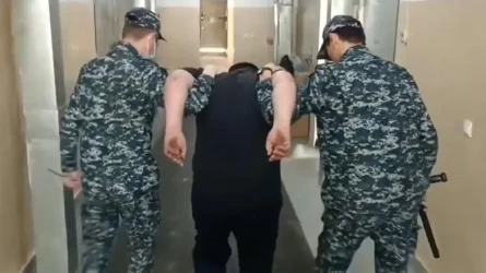 «Несие төлеуге ақшам жоқ»: Сәтбаевта қызға шабуылдаған ер адам ұсталды