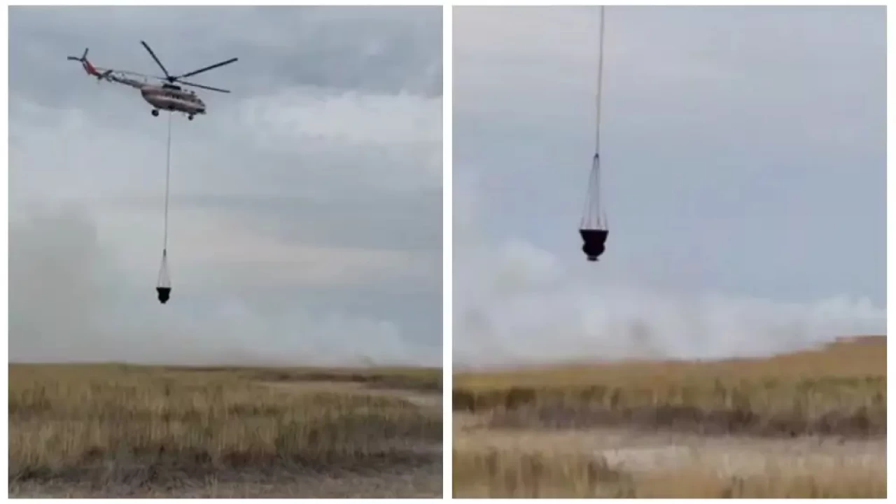 Пожар в камышах Атырауской области локализовали спустя почти сутки