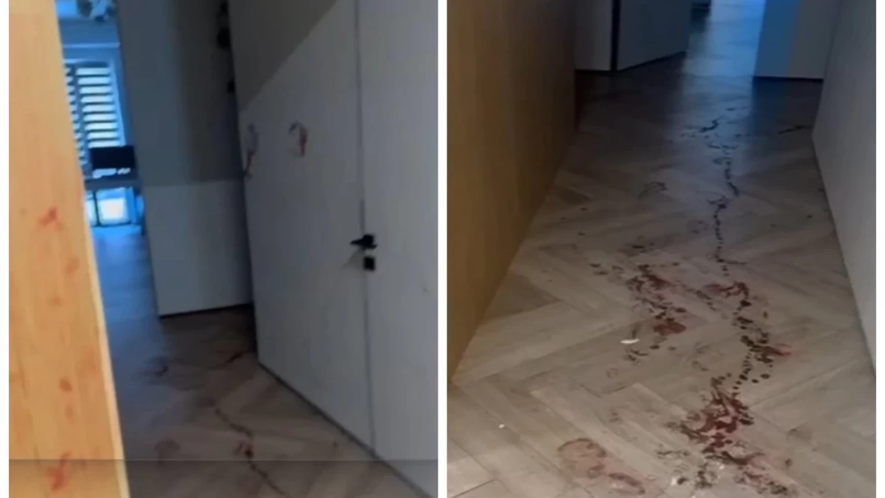 Алматыда ерлі-зайыптыны бірнеше жерінен атып өлтірген қаскөй сотталып кетті