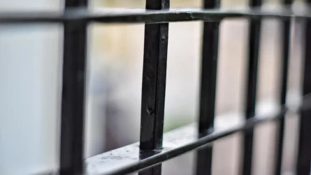 Двое казахстанцев арестованы по делу о финансовой пирамиде на 790 миллионов тенге