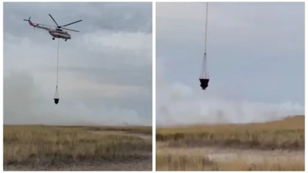 Пожар в камышах Атырауской области локализовали спустя почти сутки