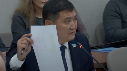 «Халқы аз ел үшін тым көп»: Депутат елдегі кейбір министрліктерді біріктіруді ұсынды