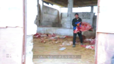 Есек етінен самса жасап сатқандарға қатысты сот үкімі шықты