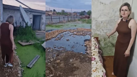 Плесень в домах и болото в огородах: казахстанка записала видео с призывом к акимату