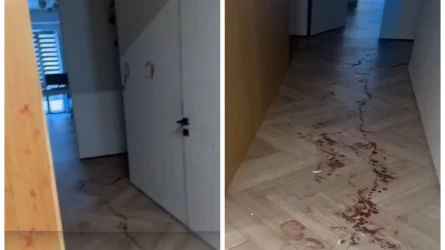 Алматыда ерлі-зайыптыны бірнеше жерінен атып өлтірген қаскөй сотталып кетті