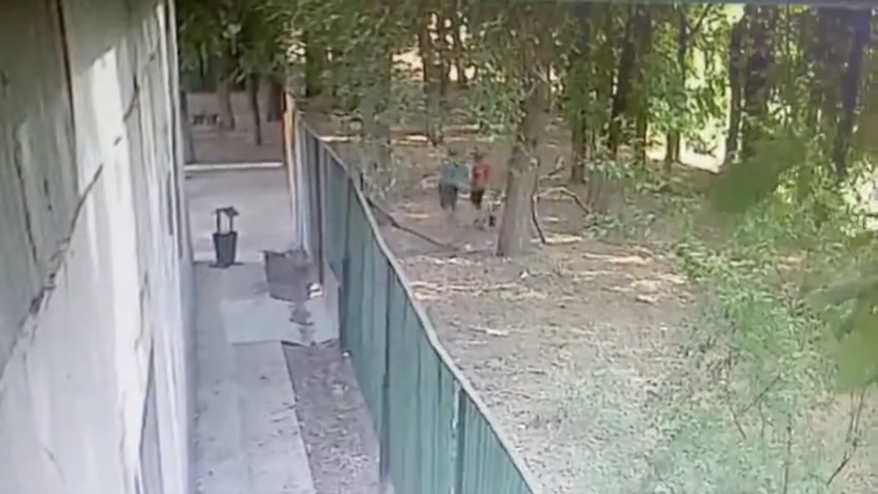 Иттер талап тастаған баланың ісі: Оқиға орнынан видео пайда болды (ВИДЕО)