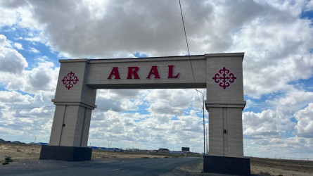 Арал ауданында «Таза Қазақстан» жобасы аясында кең ауқымды экологиялық жұмыстар жүргізілуде