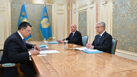Токаев провёл рабочую встречу с Канатом Бозумбаевым