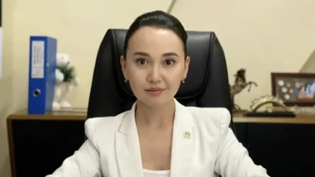 Перизат Кайрат не признала вину в суде