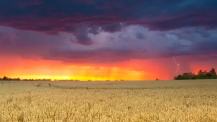 В Казахстане жара до +42 °C и грозы с градом 16 июля
