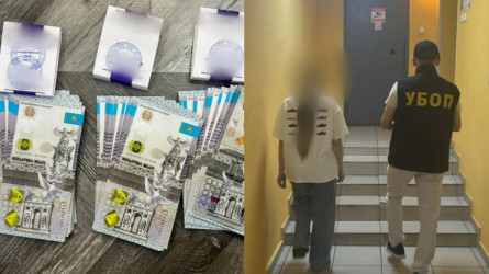 Қылмыс үстінде ұсталды: Павлодарда адам мүшесін сатпақ болған көрші ел азаматы құрықталды