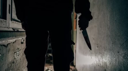 Ер адам мас күйінде ұйықтап жатқан әйелін пышақтап өлтірді