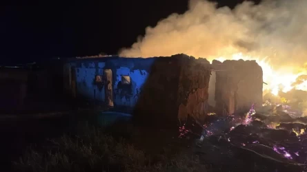 В Акмолинской области сгорело 60 тонн сена