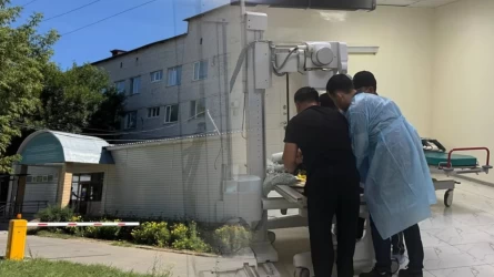 Үржарда үш баланың өмірін қиған жол апаты: жүргізушінің эпилепсиясы болған