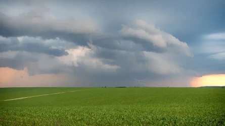 Погодные качели в Казахстане: жара, дожди и град 12 августа