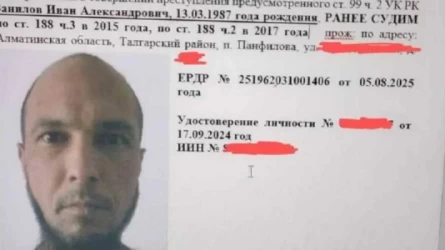 Алматы облысында көрші зейнеткерлерді өлтірген күдікті іздестіріліп жатыр