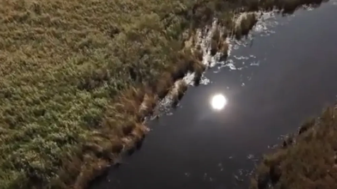 Қарағанды облысында өзеннен ер адамның қалдықтары табылды