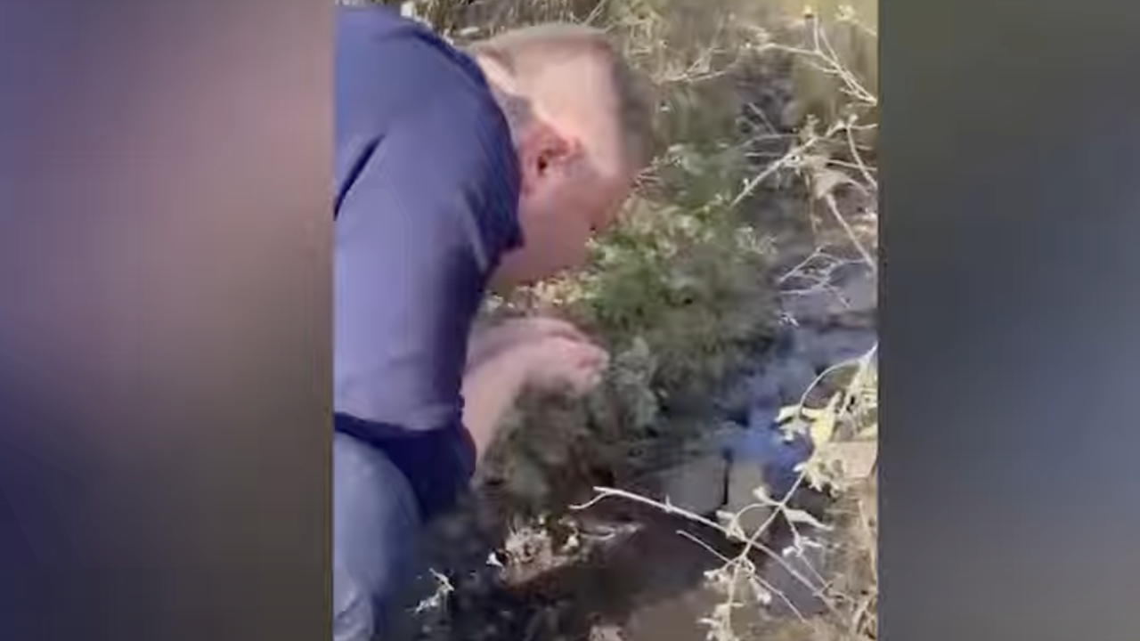 Шығыс Қазақстанда малдың қырылуына байланысты шенеуніктерге ағын судан ішуге тура келді