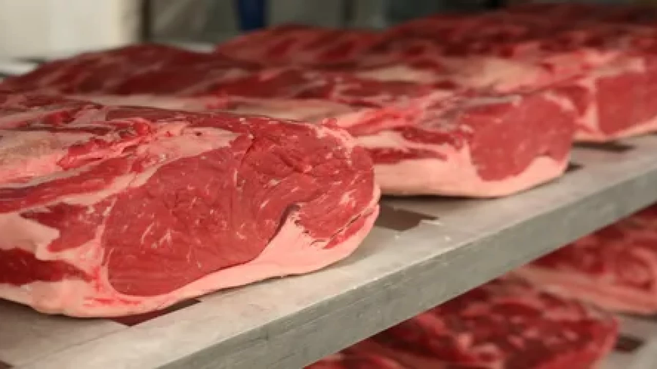 Ет бағасы бақылауда: жәрмеңкелерде арзан өнім ұсынылуда