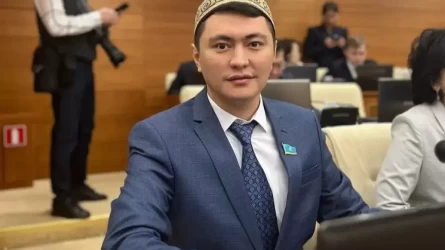 «Өтірік ИП ашпаңдар деп ескерттім»: Әйелдерді декретке миллионмен шығарған депутат Мұқаев та тексеріліп жатыр ма?