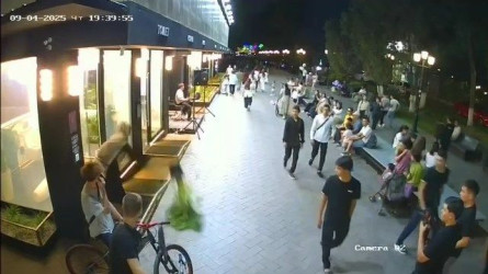 Шымкентте әйел «ақылды» әжетхананы бүлдірмек болды