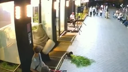 В Шымкенте женщина в хиджабе устроила погром в общественном туалете — видео