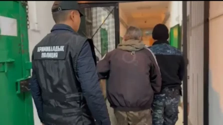 В Костанайской области мужчина подозревается в убийстве жены и сына
