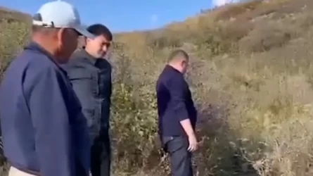 Жители села, где гибнет скот, заставили чиновников пить воду из местного ручья