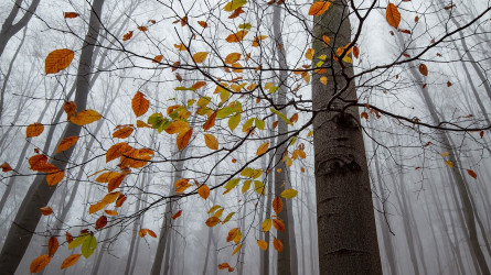 26 қыркүйекте елімізде дауылды ескерту жарияланды