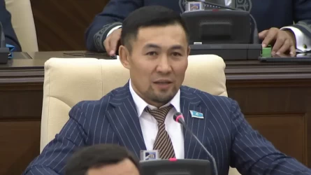 Ардак Назаров объяснил, почему поздравил маму на заседании Мажилиса