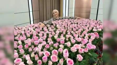 "Миллион алых роз": Молдир Ауелбекова продемонстрировала огромный букет цветов (видео)