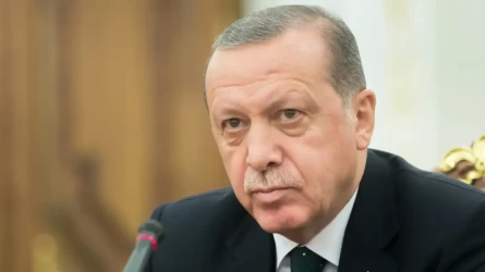 Эрдоган призвал исламские страны ввести жёсткие санкции против Израиля