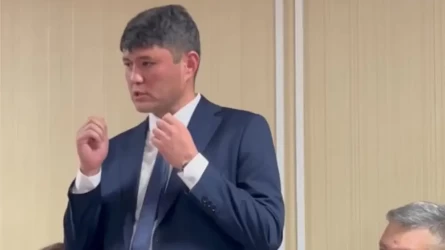 В суде розыгрыш блогеров Жанабыловых назвали "лохотроном"