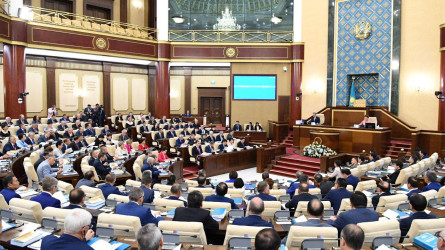 Президент бір палаталы парламент жайлы бастама көтерді
