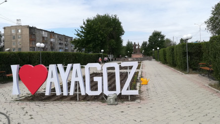 Аягөзде жүргізуші куәлігі жоқ ер адам 6 жасар баланың өліміне себепкер болды