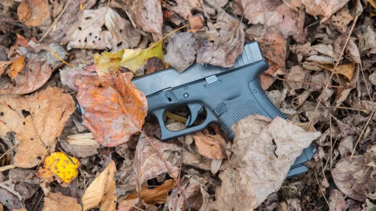 Қызылордада жол бойынан табылған қару үшін такси жүргізушісі жауапқа тартылды