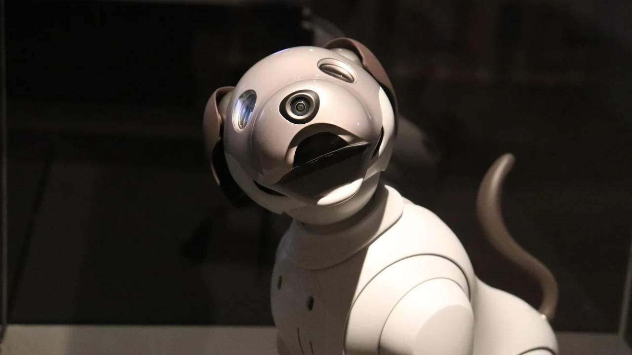 В Астане полиция начала использовать робота‑собаку для патрулирования