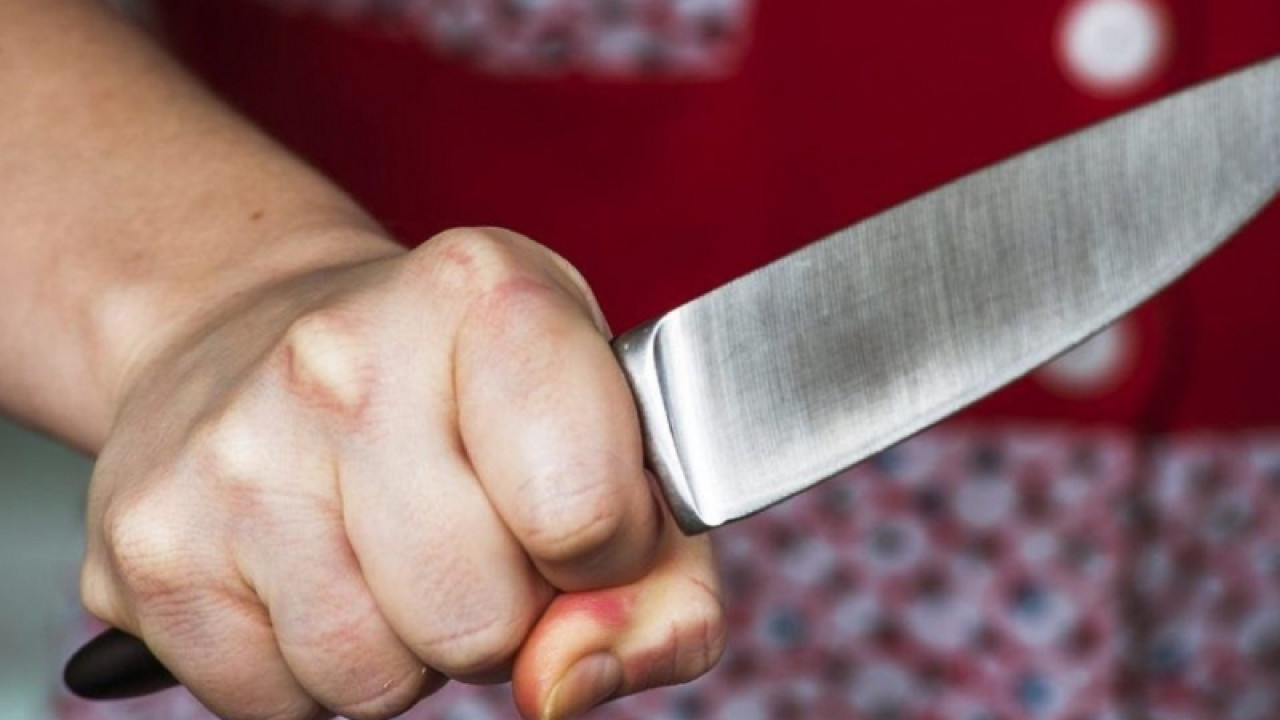 Атышулы Қызылқоға ауданында келін 82 жастағы енесін пышақпен қуып жүріп өлтірді