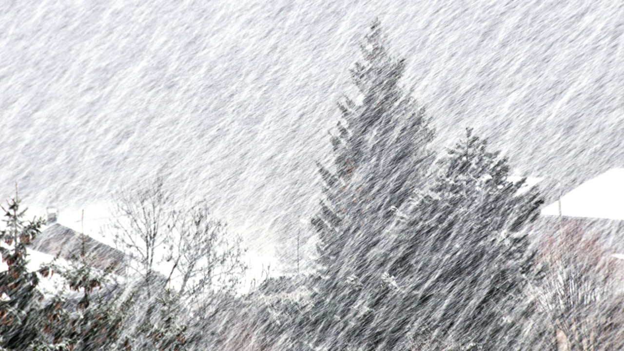 Жел, тұман, көктайғақ: 21 қаңтарда ел аумағында ауа райы күрт бұзылады