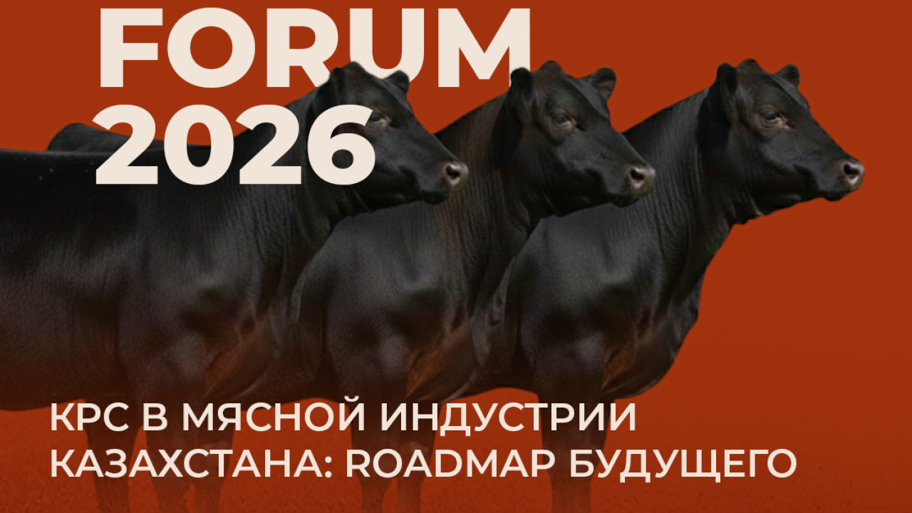 Питчинг проектов в сфере животноводства состоится на форуме Dala.Camp