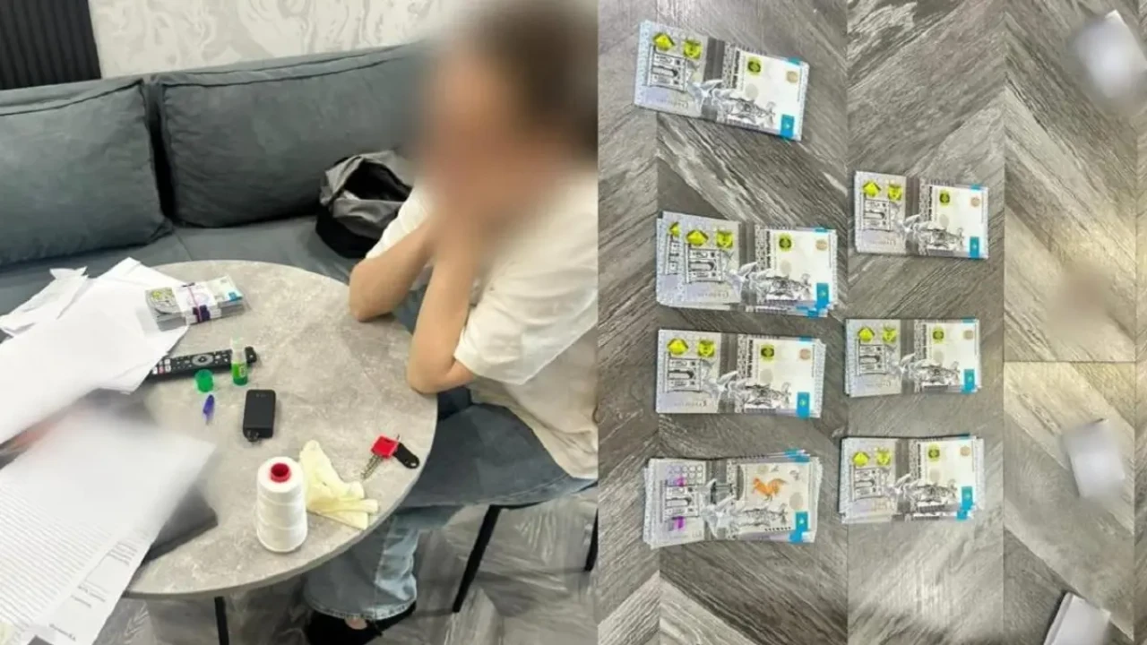 Павлодарда бүйрегін сатпақ болған ресейлік әйел сотталды