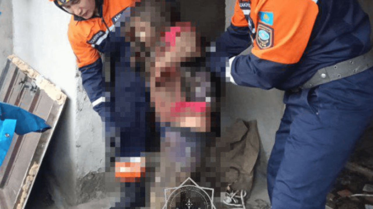 В Жамбылской области 11-летняя девочка упала в уличный туалет