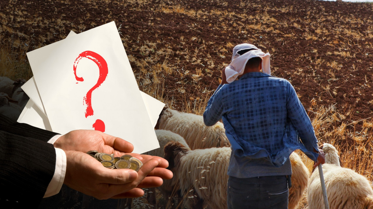 Ауыл кәсіпкерлерін жаппай қаралау науқаны басталғаны ма?