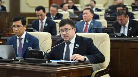 В Мажилисе подняли вопрос о проверке сомнительных курсов личностного роста